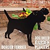 Border Terrier Graden Planter